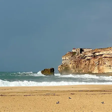 Oasis בית הארחה נאזרה