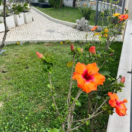 Oasis בית הארחה 4*