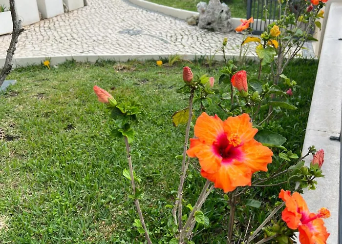Oasis Gæstehus 4*